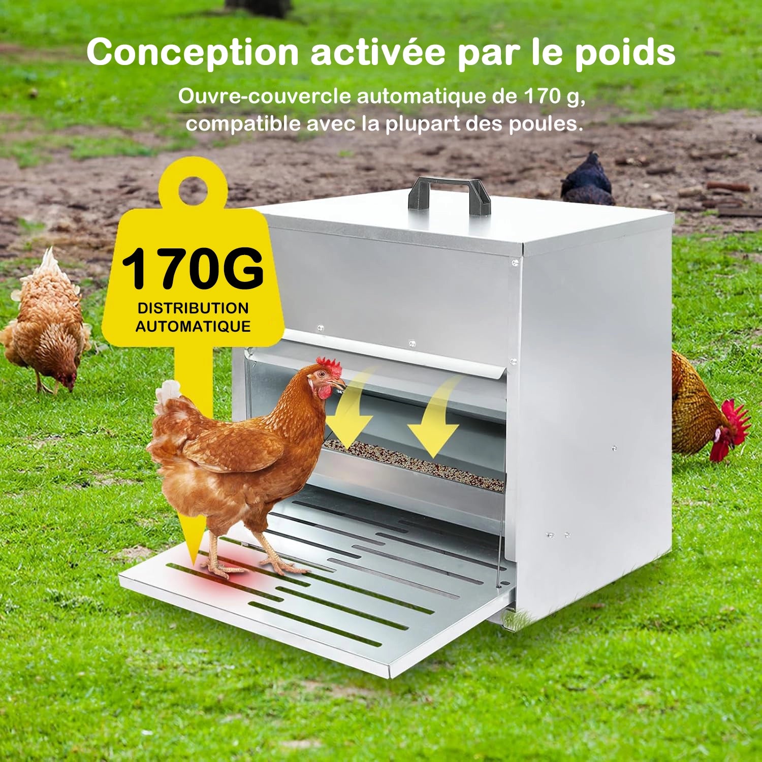 Mangeoire automatique en acier pour poulets Frenal 10 kg